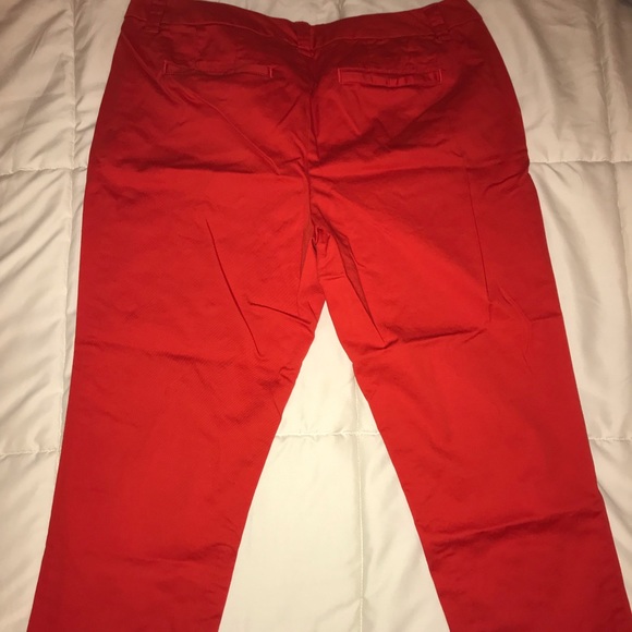 Capris - Picture 3 of 3